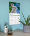Rabbits 2027 Square Wall Calendar