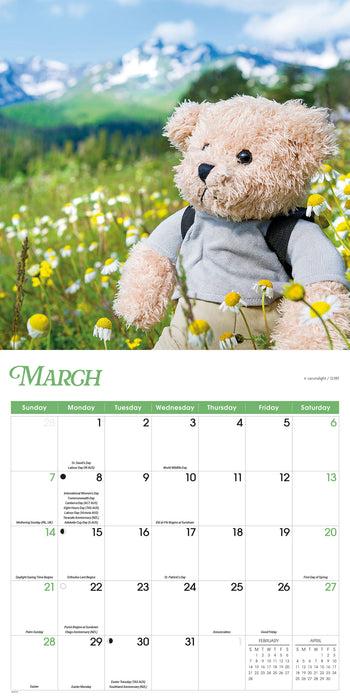 Teddy Bears 2027 Square Wall Calendar