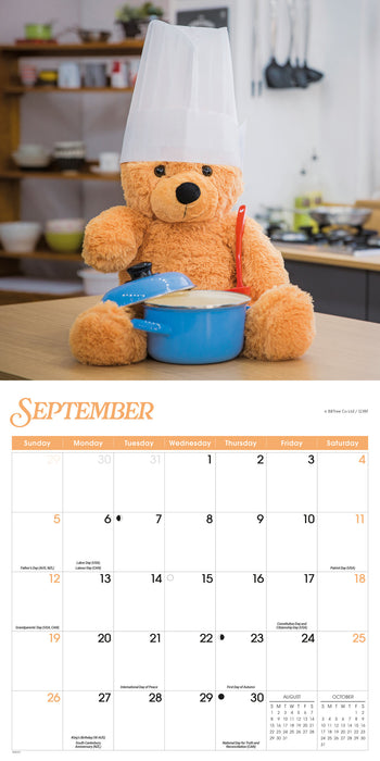 Teddy Bears 2027 Square Wall Calendar
