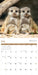 Baby Animals 2027 Square Wall Calendar