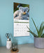 Baby Animals 2027 Square Wall Calendar