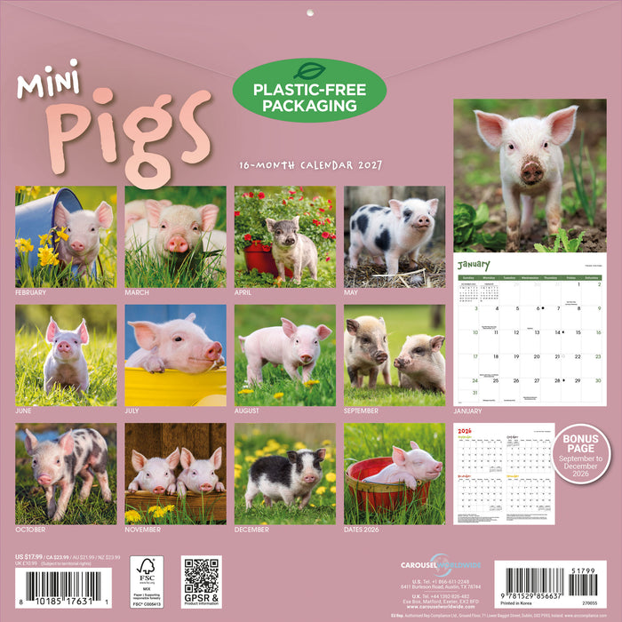 Mini Pigs 2027 Square Wall Calendar