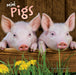 Mini Pigs 2027 Square Wall Calendar