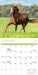 Horses 2027 Mini Wall Calendar