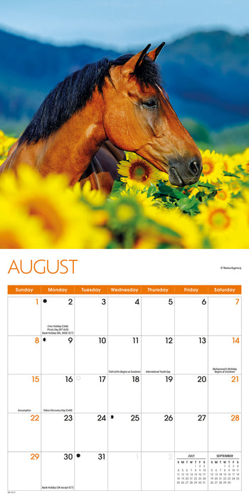 Horses 2027 Mini Wall Calendar