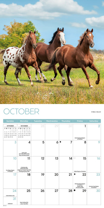 Horses 2027 Mini Wall Calendar