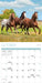 Horses 2027 Mini Wall Calendar