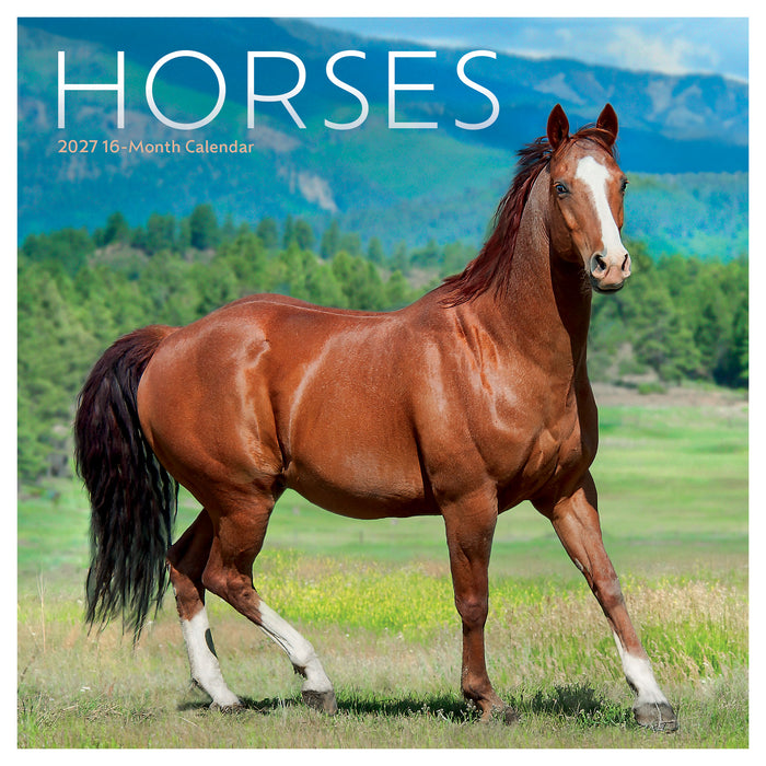 Horses 2027 Mini Wall Calendar