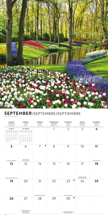 In the Garden 2027 Square Wall Calendar