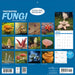 Fascinating Fungi 2027 Square Wall Calendar