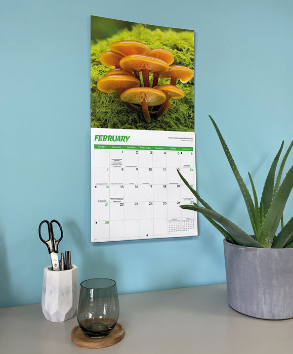 Fascinating Fungi 2027 Square Wall Calendar