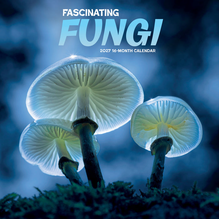 Fascinating Fungi 2027 Square Wall Calendar