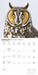 Owls 2027 Square Wall Calendar