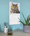 Owls 2027 Square Wall Calendar
