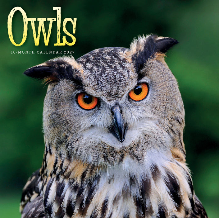 Owls 2027 Square Wall Calendar