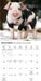 Piglets 2027 Mini Wall Calendar