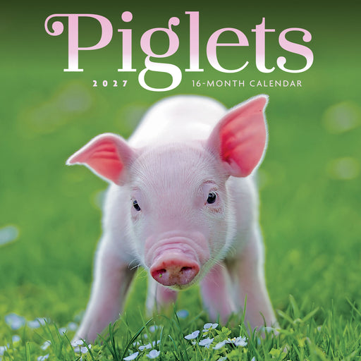 Piglets 2027 Mini Wall Calendar
