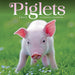 Piglets 2027 Mini Wall Calendar