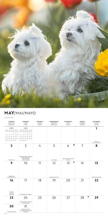 Maltese 2027 Square Wall Calendar