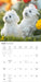 Maltese 2027 Square Wall Calendar