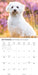 Maltese 2027 Square Wall Calendar