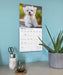 Maltese 2027 Square Wall Calendar