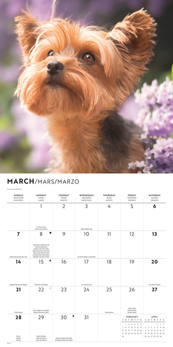 Yorkis 2027 Square Wall Calendar