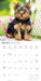 Yorkis 2027 Square Wall Calendar