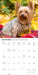 Yorkis 2027 Square Wall Calendar