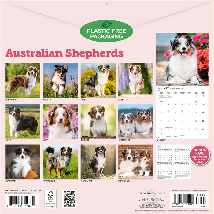 Australian Shepherds 2027 Square Wall Calendar