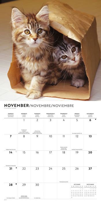 Kittens Cute 2027 Square Wall Calendar