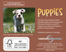 Puppies 2027 Mini Page-A-Day Calendar