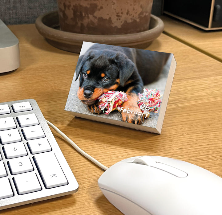 Puppies 2027 Mini Page-A-Day Calendar