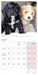 Cockapoo Puppies 2027 Mini Wall Calendar