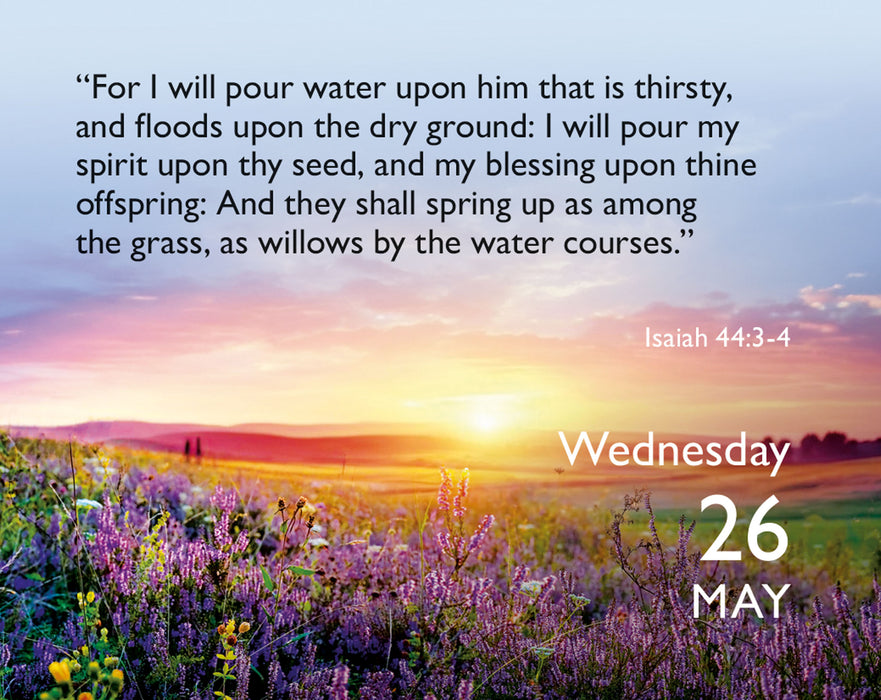 Bible Verse a Day 2027 Mini Page-A-Day Calendar