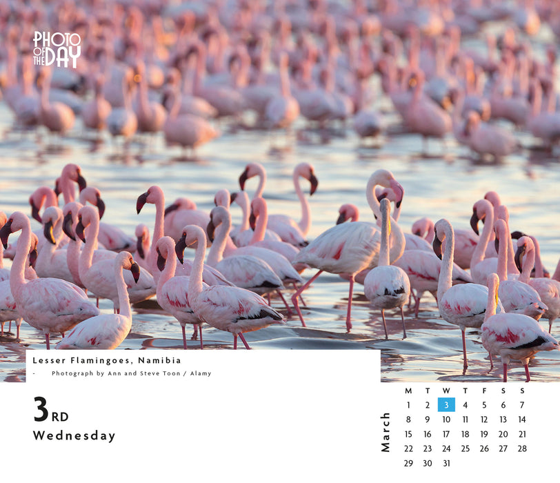 Photo of the Day 2027 Page-A-Day Calendar