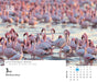 Photo of the Day 2027 Page-A-Day Calendar