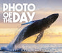 Photo of the Day 2027 Page-A-Day Calendar