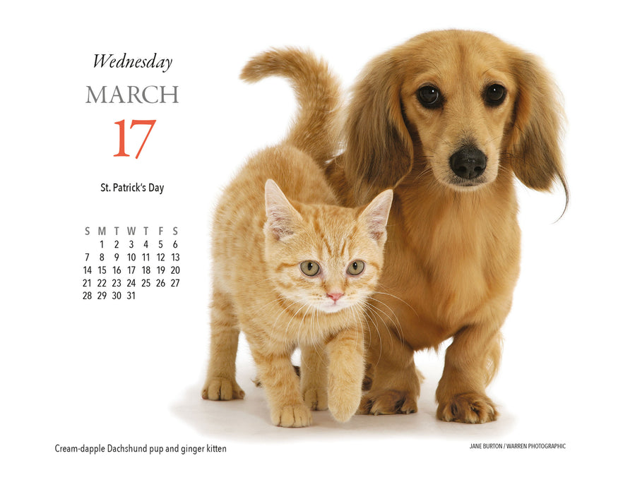 Puppies and Friends 2027 Page-A-Day Calendar