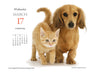 Puppies and Friends 2027 Page-A-Day Calendar