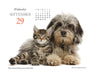 Puppies and Friends 2027 Page-A-Day Calendar