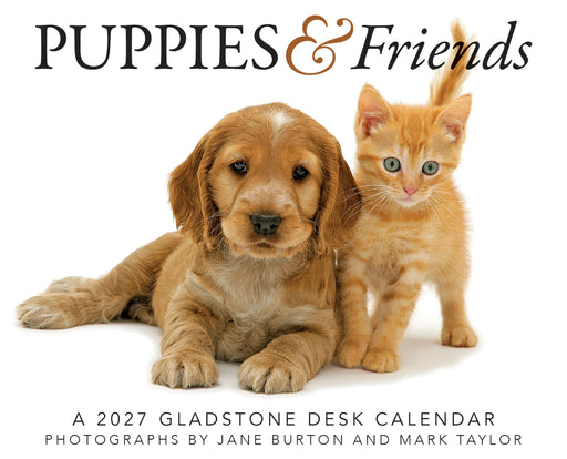 Puppies and Friends 2027 Page-A-Day Calendar