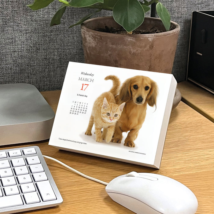 Puppies and Friends 2027 Page-A-Day Calendar