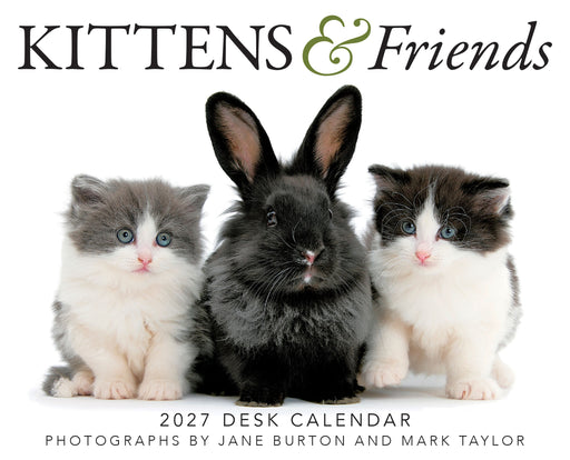 Kittens and Friends 2027 Page-A-Day Calendar