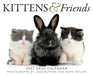 Kittens and Friends 2027 Page-A-Day Calendar