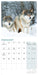 Wolves 2027 Mini Wall Calendar