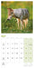 Wolves 2027 Mini Wall Calendar