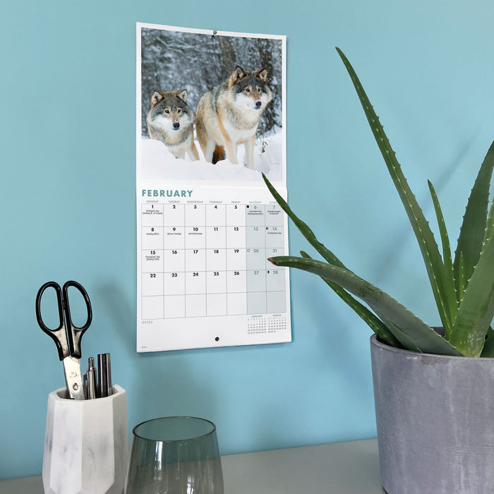 Wolves 2027 Mini Wall Calendar