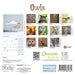 Owls 2027 Mini Wall Calendar