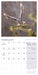 Owls 2027 Mini Wall Calendar